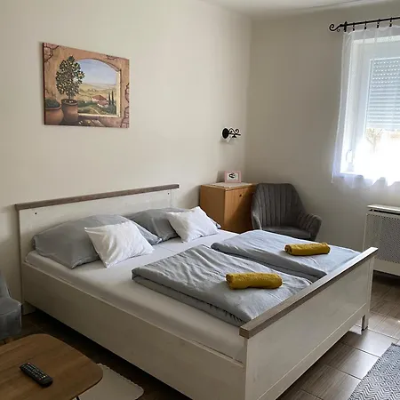Sara Vendeghaz Apartment Hajduboszormeny Exterior photo